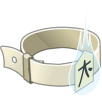 Ceinture du Boostache