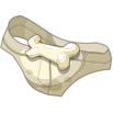 Slip de Rechange du Captain Chafer