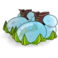 Bloptes Indigo Royales