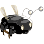 Scaracoiffe Noire