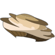 Chapignon