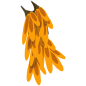 Kwape de Flammes