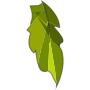 Vegacape