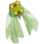 Scaracape Verte