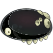 Kidibonnet