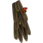 Abracapa Ancestrale