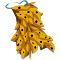 Cape de Nevark