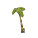 Tikokoko