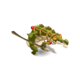 Crokipic