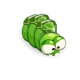 Larve Émeraude