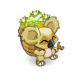 Koalak Coco