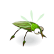 Minoskito